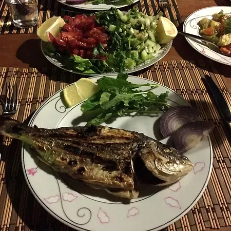 ゲストハウス Dervi̇shan Health Club *