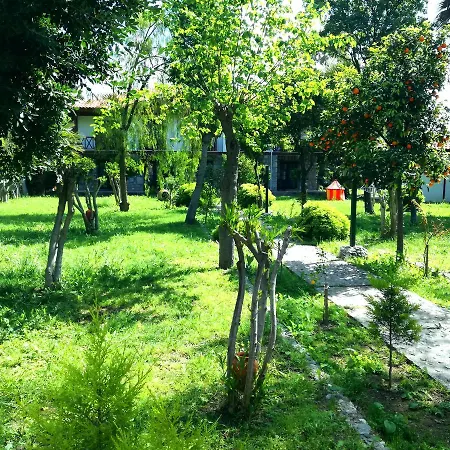 Dervi̇shan Health Club