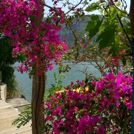 ゲストハウス Dervi̇shan Health Club *