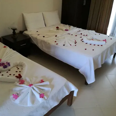 Dervi̇shan Health Club ゲストハウス