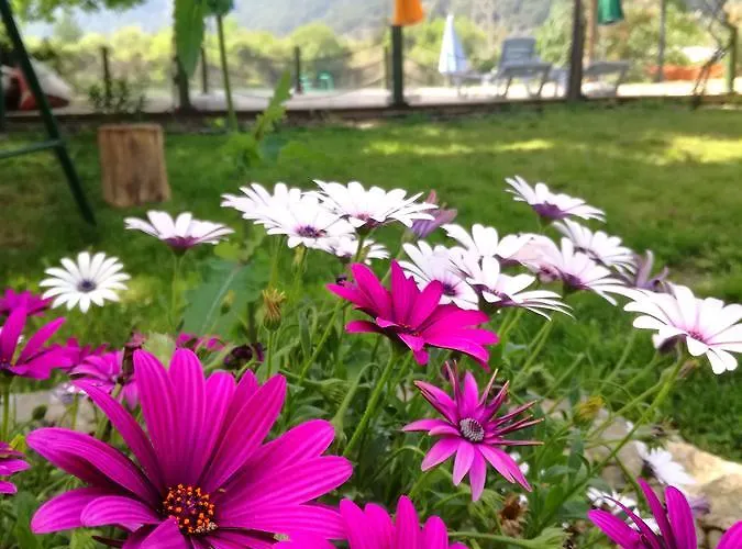 Dervi̇shan Health Club בית הארחה *