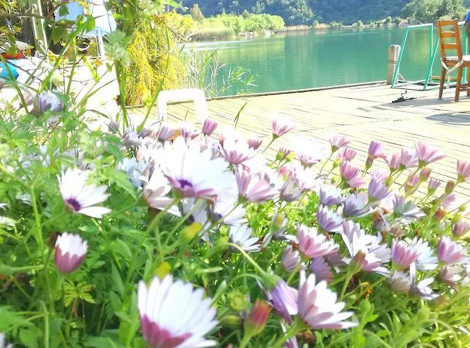 Dervi̇shan Health Club *