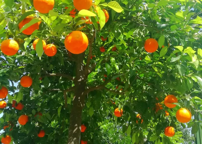 Dervi̇shan Health Club *