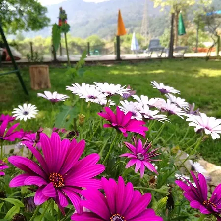 Dervi̇shan Health Club Vendégház *