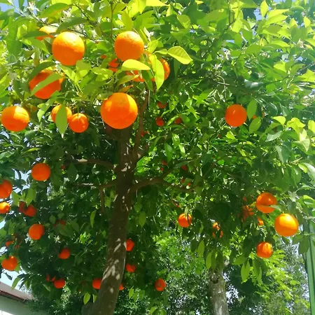 Dervi̇shan Health Club *