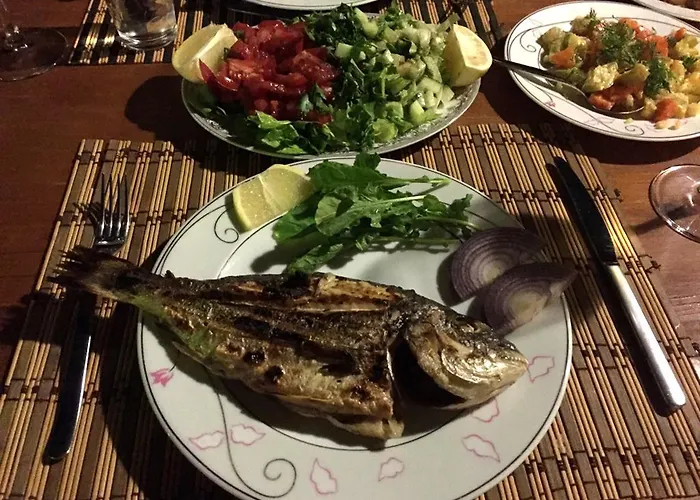 Pensiune Dervi̇shan Health Club *