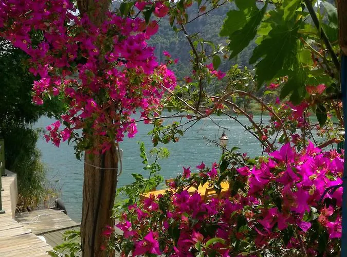 Pensiune Dervi̇shan Health Club *