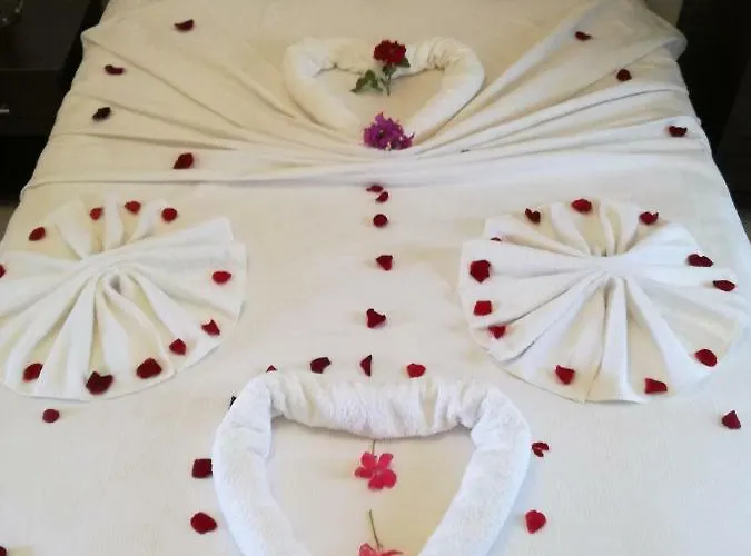 Dervi̇shan Health Club Pensiune